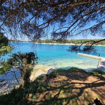 Paradise Apartman