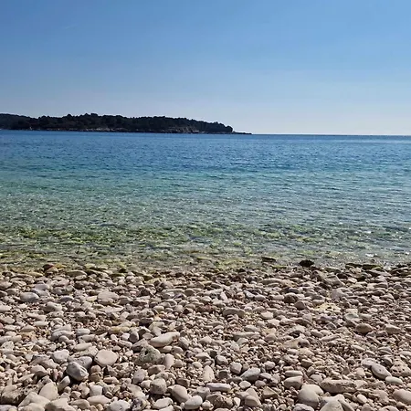 Paradise *